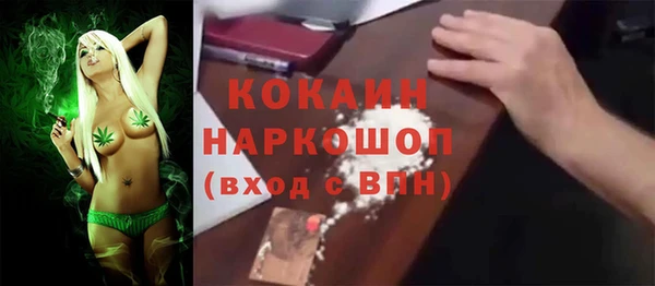 стафф Алексин
