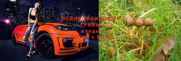 винт Абинск
