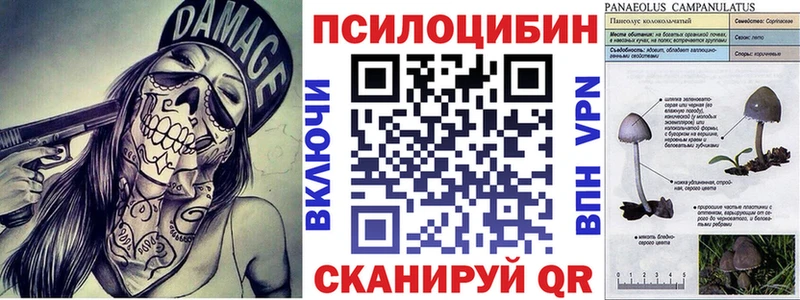 Галлюциногенные грибы Psilocybine cubensis  как найти закладки  Вытегра 
